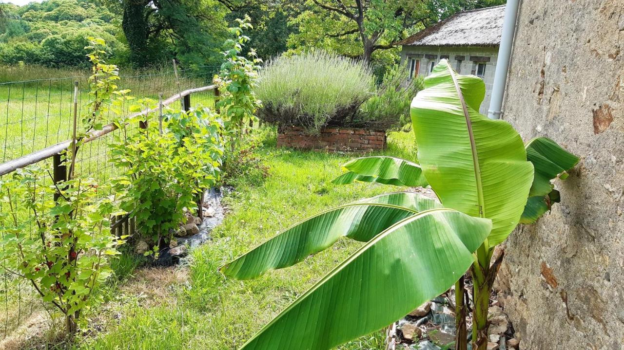 Appartement Charmant Orgnac-Sur-Vezere Avec Jardin Et Parking Екстериор снимка
