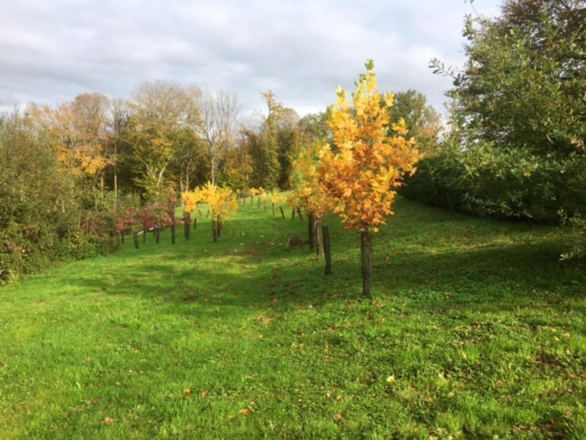 Appartement Charmant Orgnac-Sur-Vezere Avec Jardin Et Parking Екстериор снимка